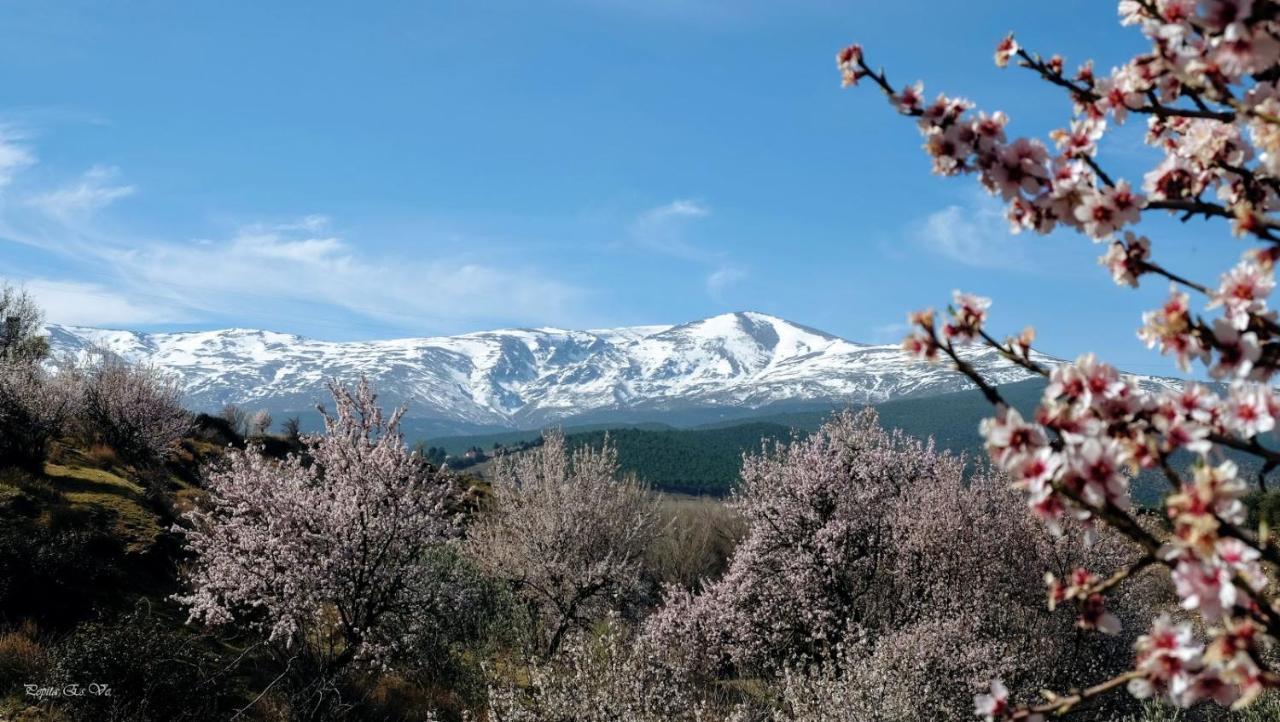 Jeres del Marquesado Molino De Santa Aguedaヴィラ エクステリア 写真